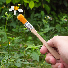 Cepillo amarillo extra pequeño n.° 1 (10 unidades) - Alta calidad para el cuidado de la belleza del automóvil y la restauración de reliquias culturales