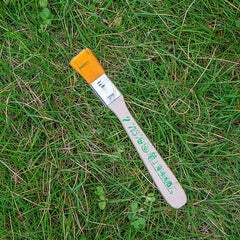 No.2 Yellow brushes × 10-High-quality for Electronics Industry & Decoration Work